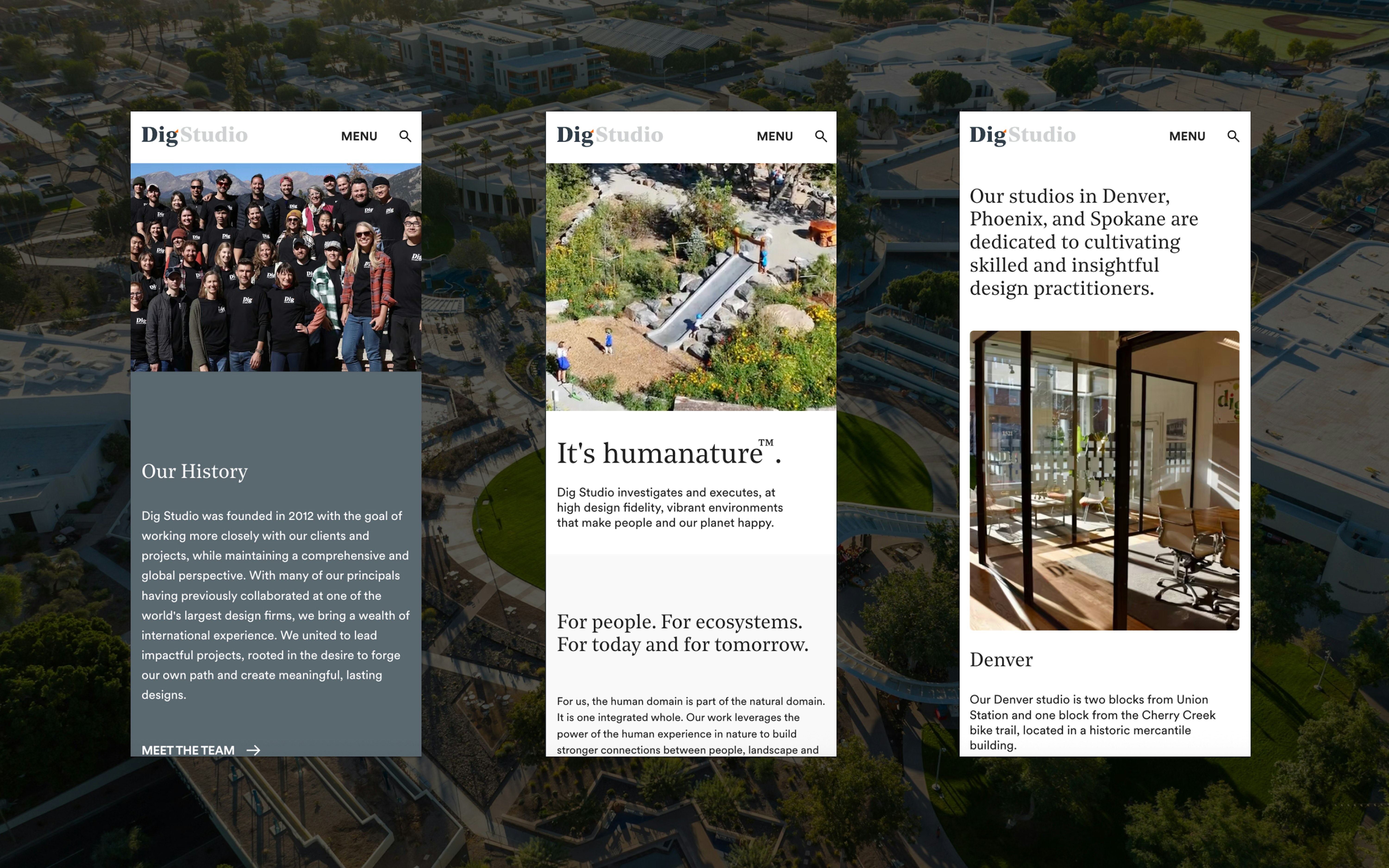 Dig Studio: Custom Development Solutions. Web Development, Maintenance ...